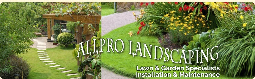 white rock landscaping company