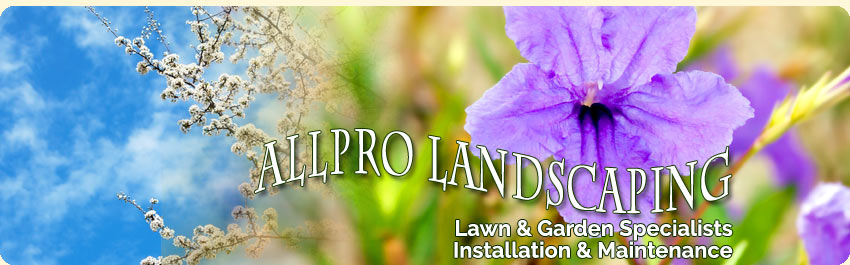 white rock landscaping