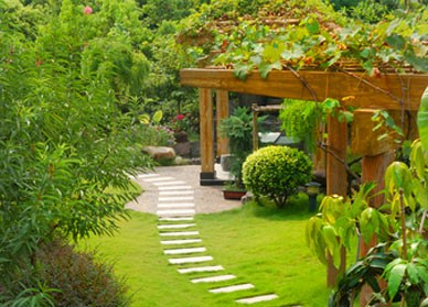 white rock landscaping