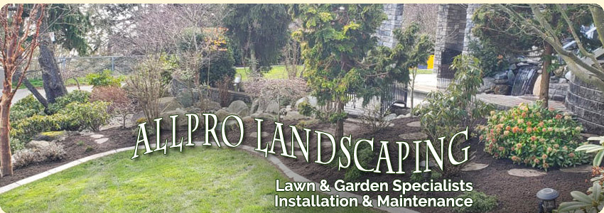 White Rock gardening