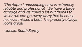 allpro landscaping testimonial